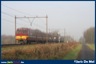 Foto van de Week 2013.