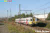 Foto van de Week 2010.
