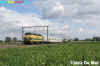 Foto van de Week 2010.