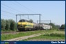 Foto van de Week 2012.