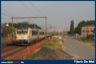 Foto van de Week 2012.