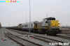 Foto van de Week 2010.