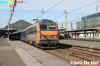 Foto van de Week 2010.
